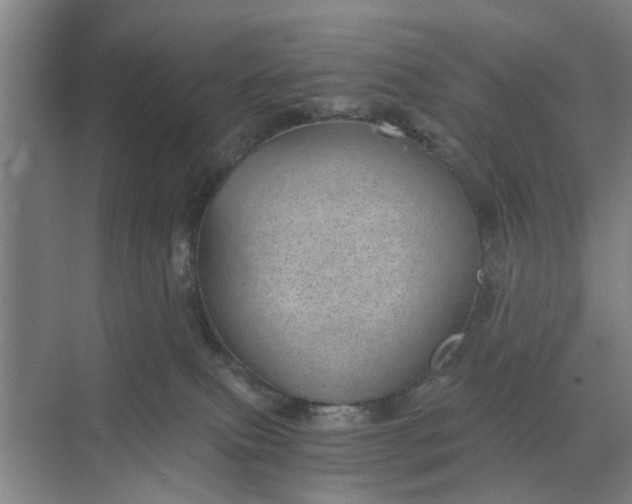 X0000068750087200605121621