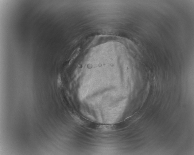 X0000068750089200605121621