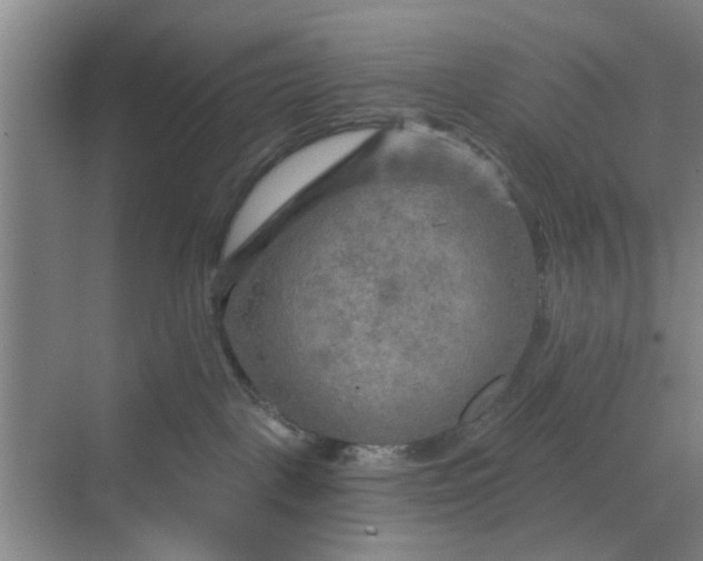 X0000068750093200605121621