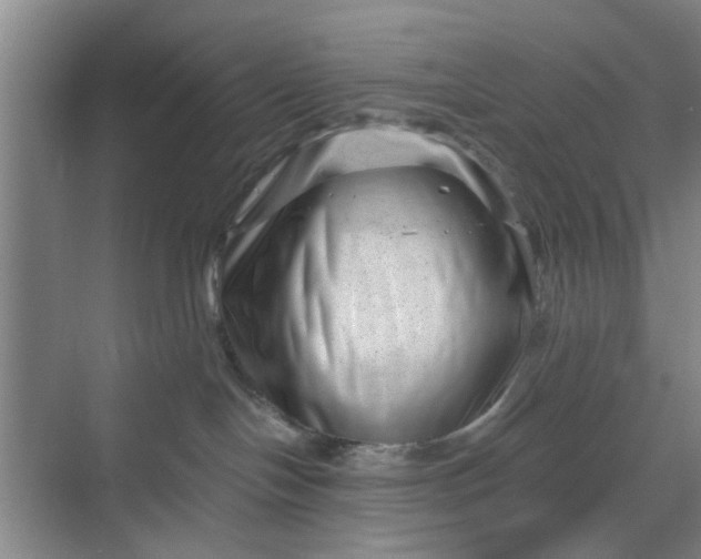 X0000068750094200605121621