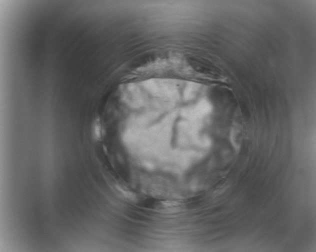 X0000068750095200605121621