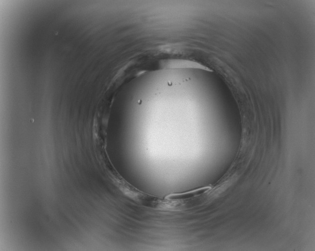 X0000068750096200605121621