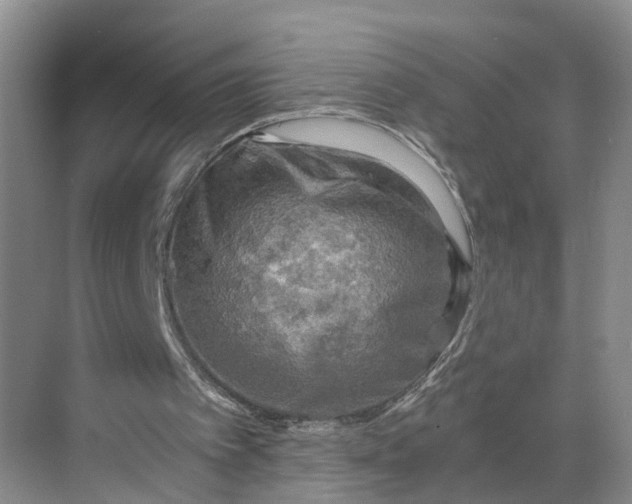 X0000068750097200605121620