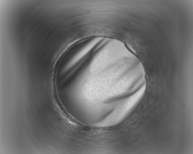 X0000068750098200605121620