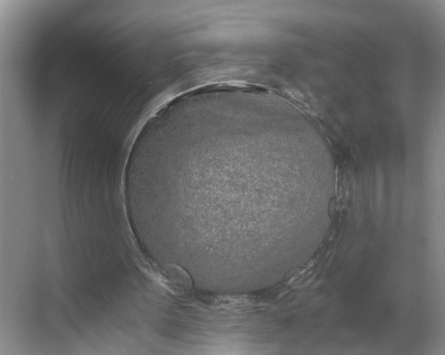 X0000068750099200605121620