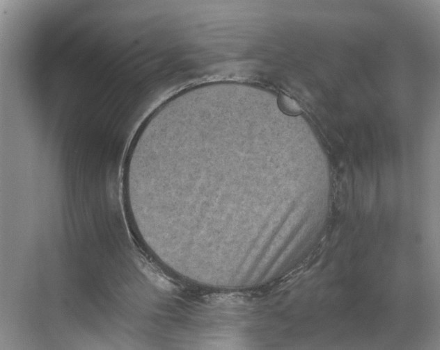 X0000068750100200605121620