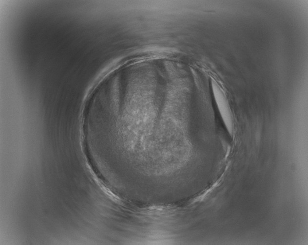 X0000068750101200605121620