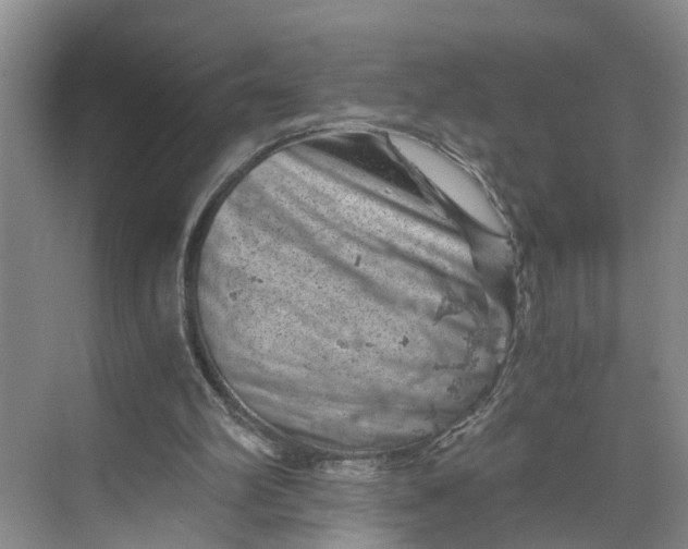 X0000068750102200605121620