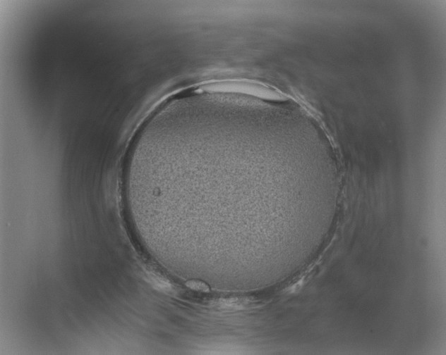 X0000068750103200605121620