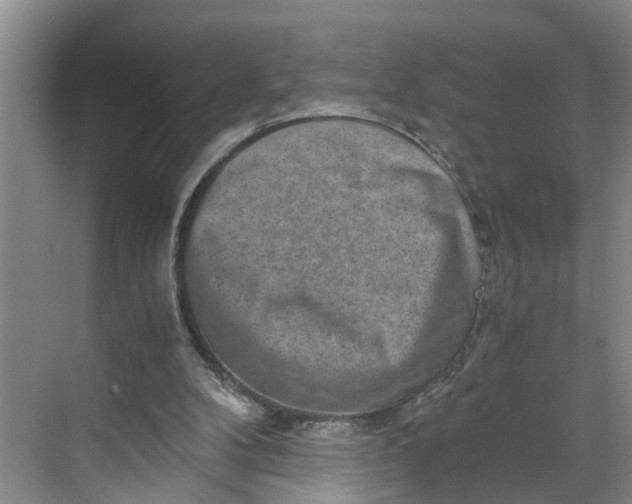 X0000068750104200605121620