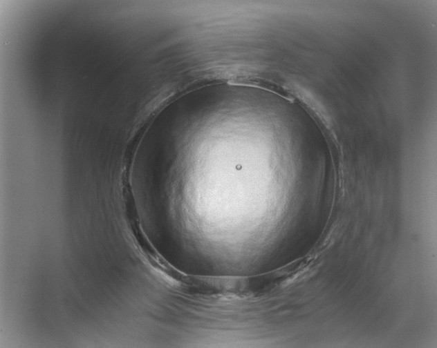 X0000068750105200605121620