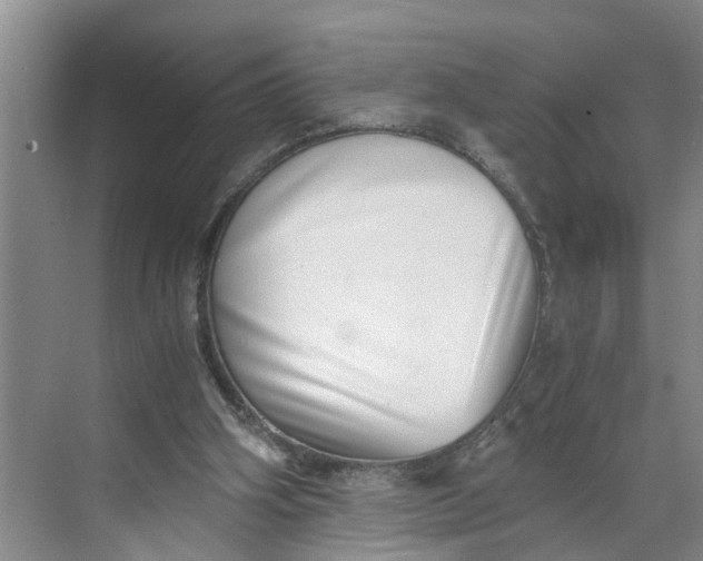 X0000068750106200605121620