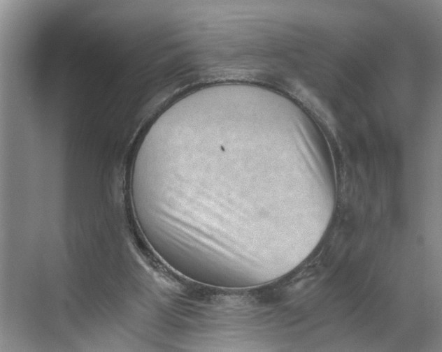 X0000068750107200605121620