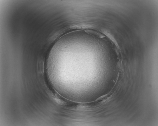 X0000068750109200605121620