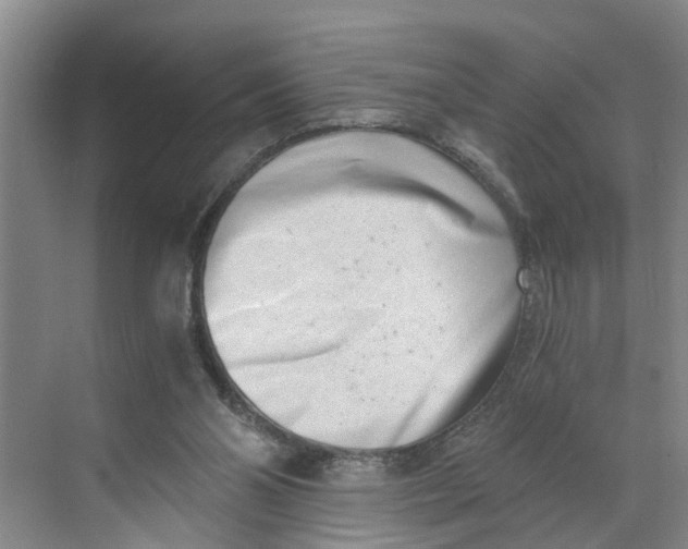 X0000068750110200605121620