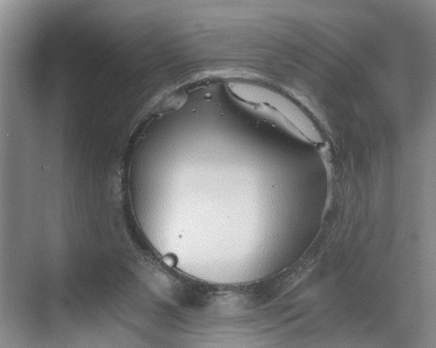 X0000068750111200605121620