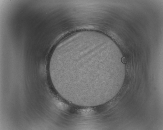 X0000068750112200605121620