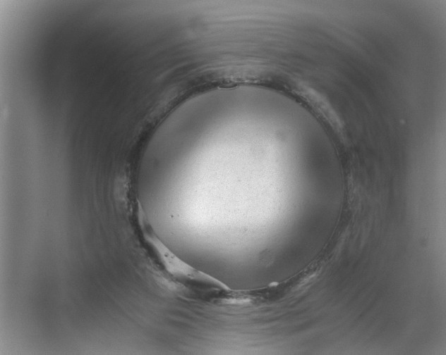 X0000068750113200605121620