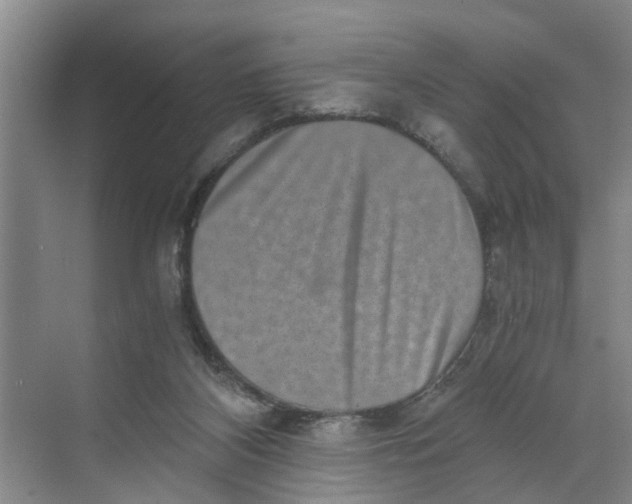 X0000068750116200605121620