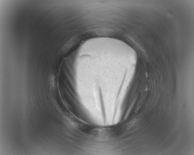 X0000068750117200605121620