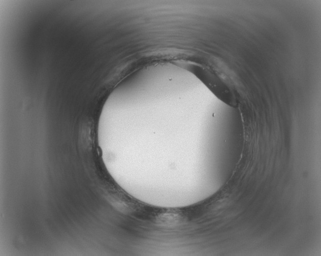 X0000068750119200605121620