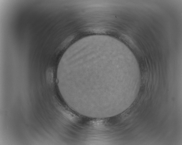 X0000068750120200605121620