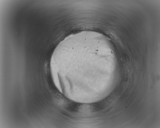 X0000068750123200605121620