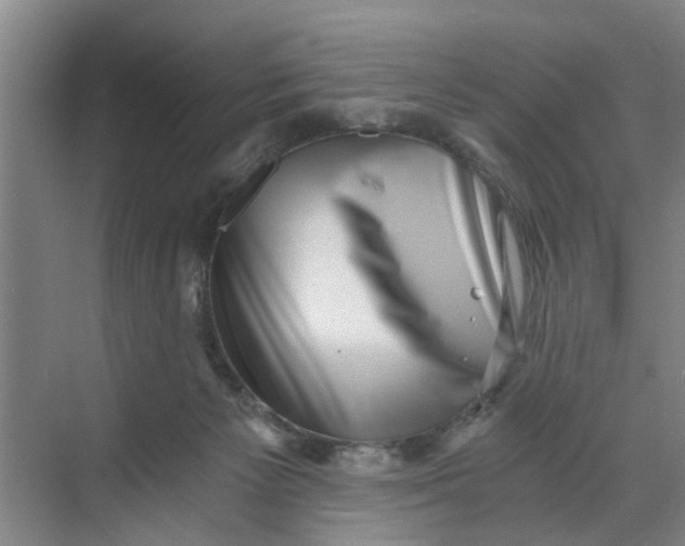 X0000068750125200605121620