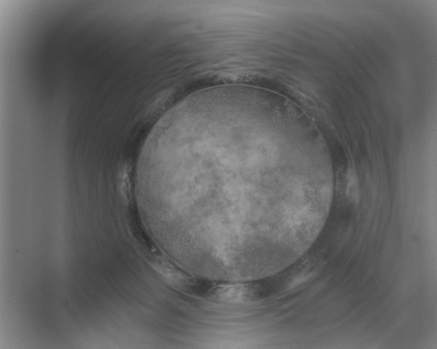 X0000068750127200605121620