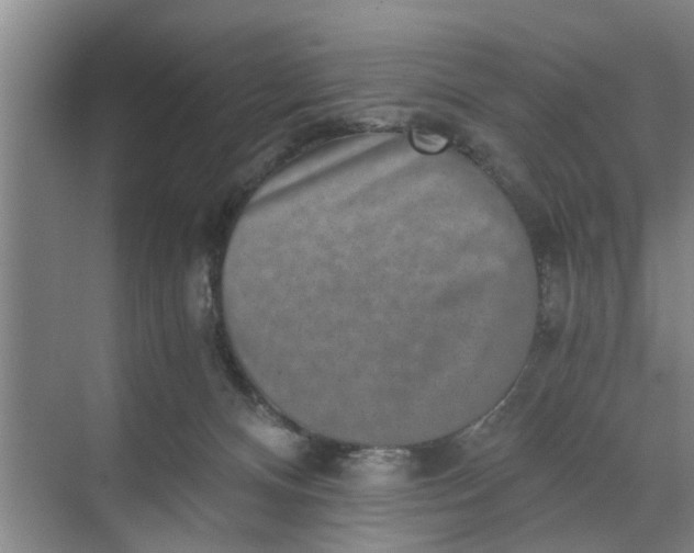 X0000068750128200605121620