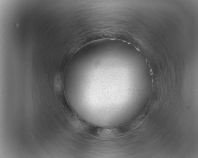 X0000068750129200605121620