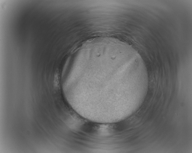 X0000068750130200605121620