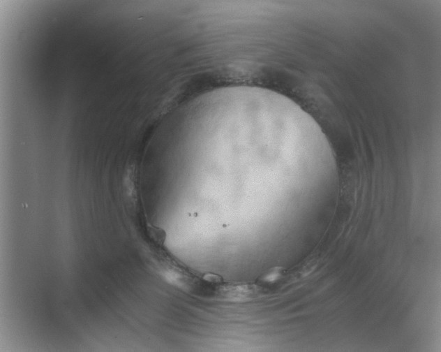 X0000068750131200605121620