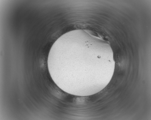 X0000068750134200605121620