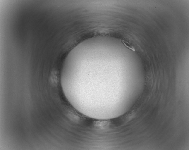 X0000068750135200605121619