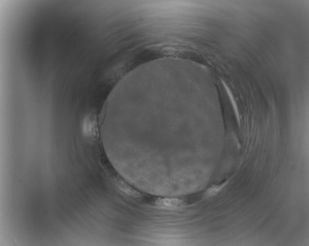 X0000068750137200605121619