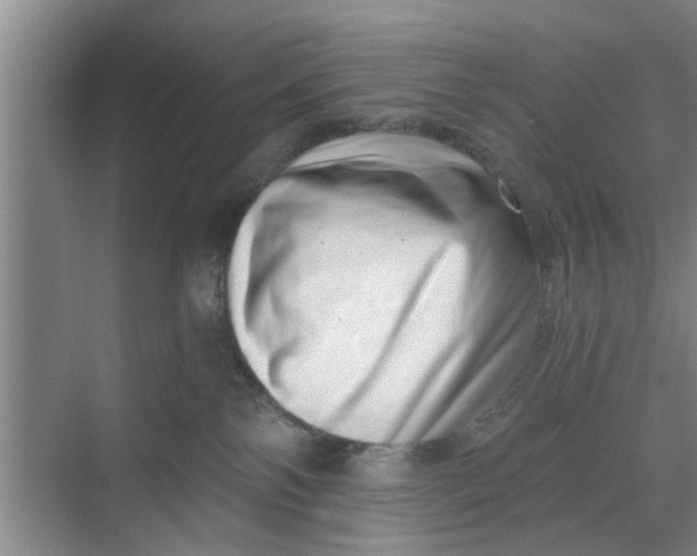 X0000068750138200605121619