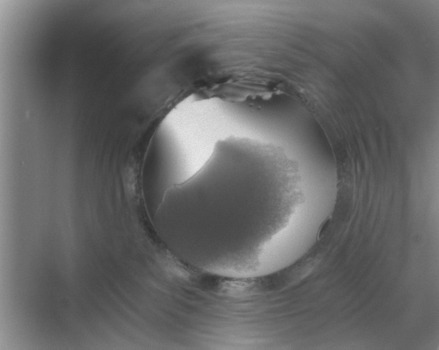 X0000068750139200605121619