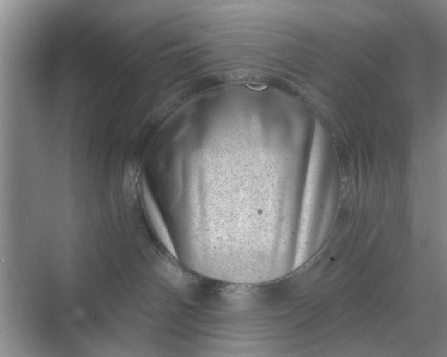 X0000068750142200605121619