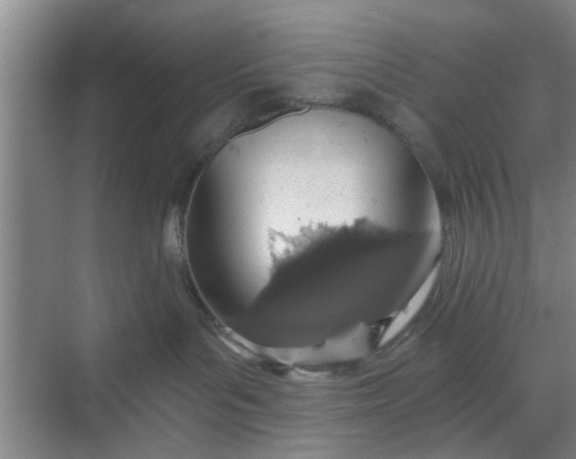 X0000068750143200605121619