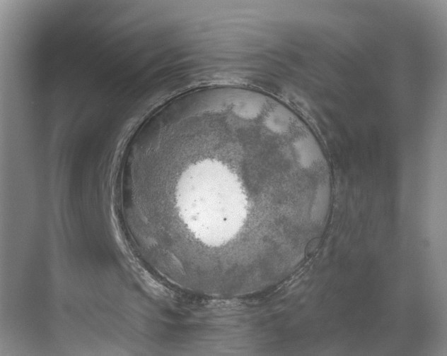 X0000068750145200605121619