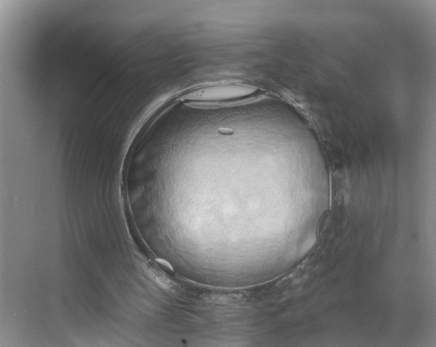 X0000068750147200605121619