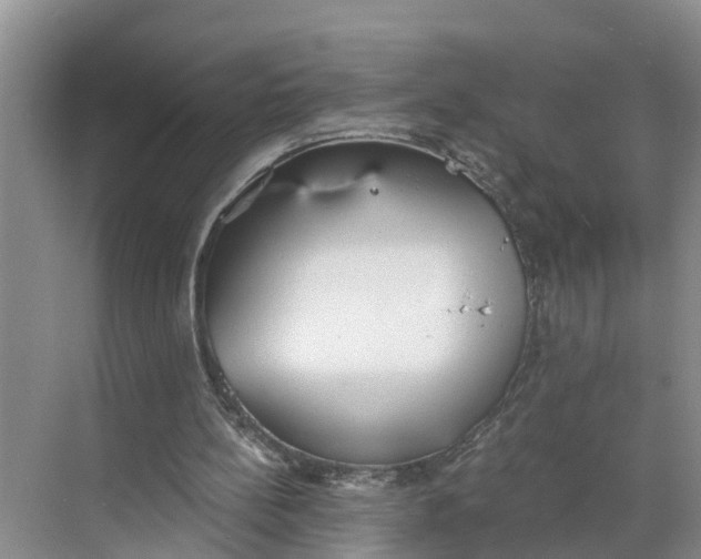 X0000068750148200605121619