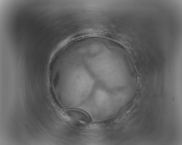 X0000068750149200605121619