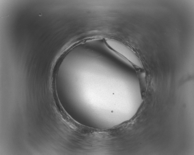 X0000068750150200605121619