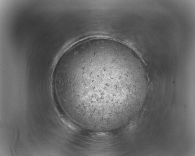 X0000068750151200605121619