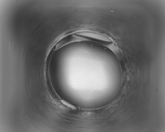 X0000068750152200605121619