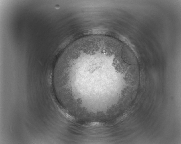 X0000068750153200605121619