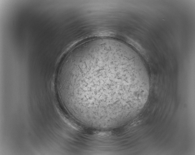 X0000068750155200605121619