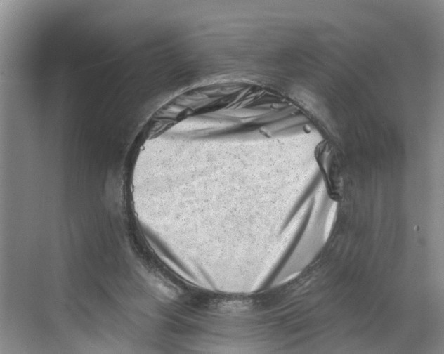 X0000068750156200605121619